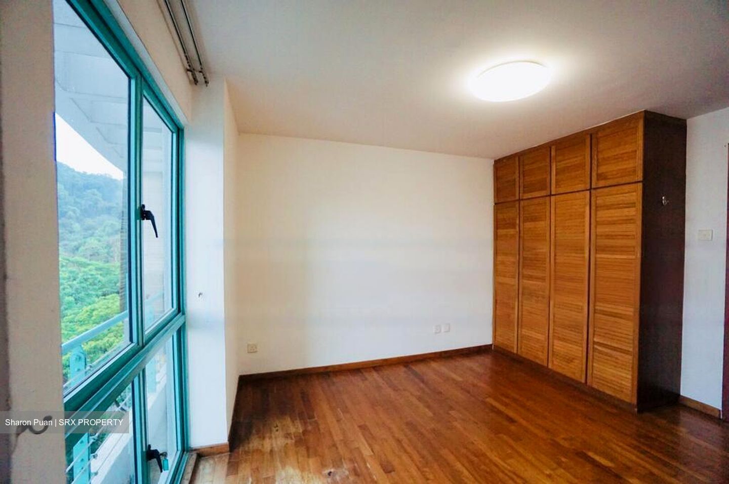 Southaven I (D21), Condominium #473034981